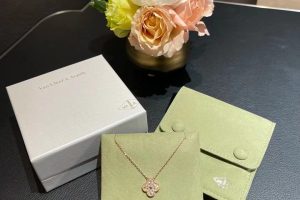 Van Cleef Arpels Jewelry Box And Package (10)